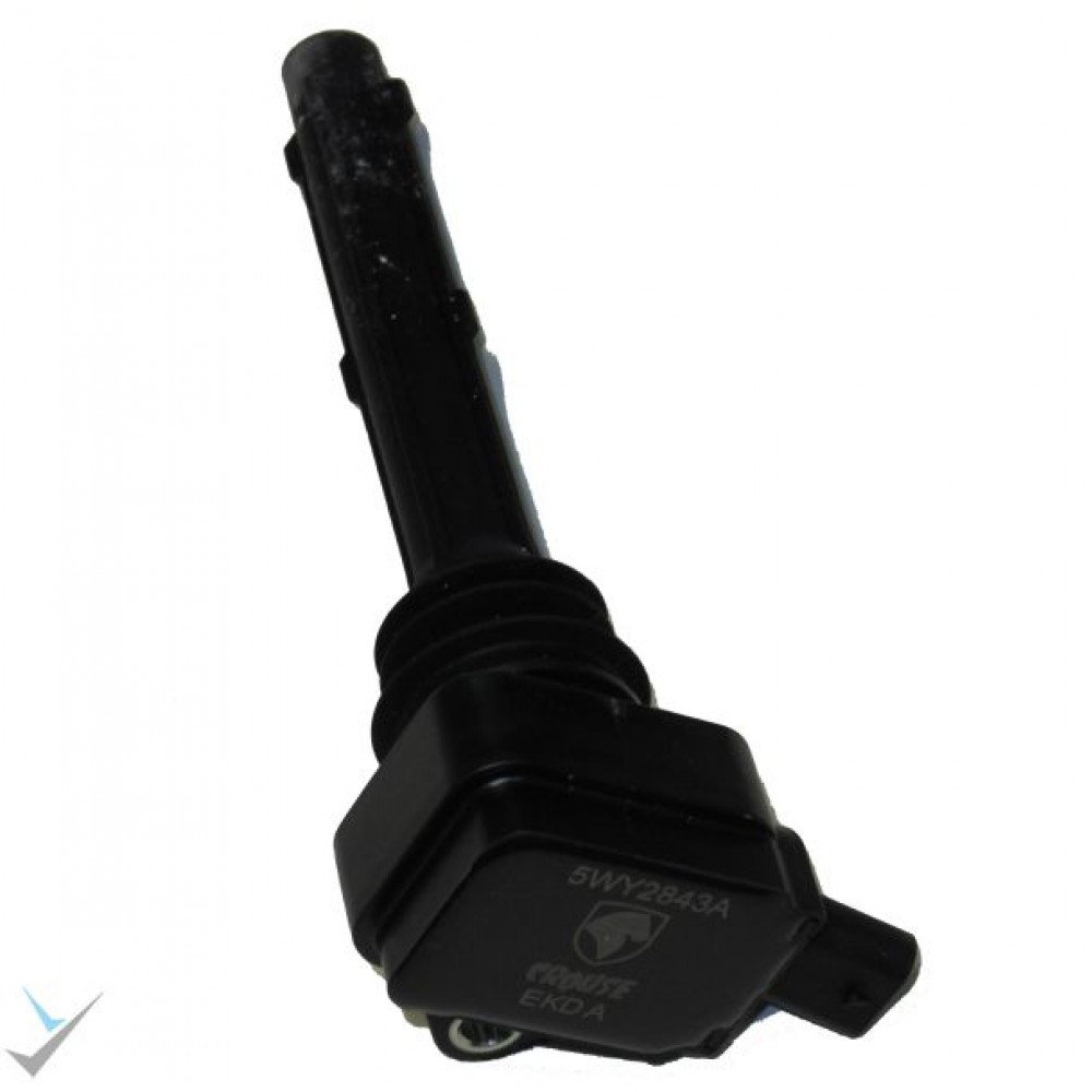 کوئل دنا اصلی