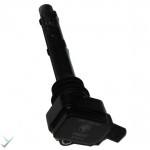 کوئل دنا اصلی