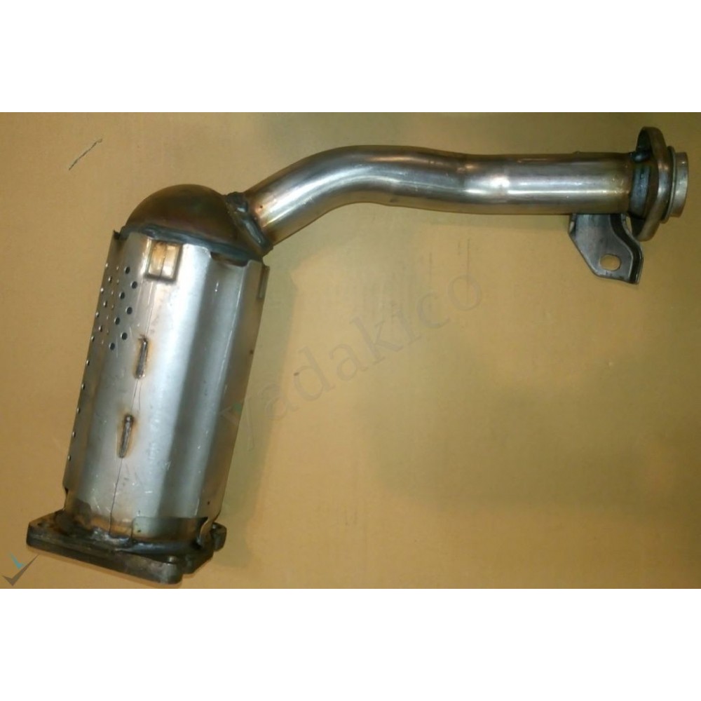 کاتالیزور رانا