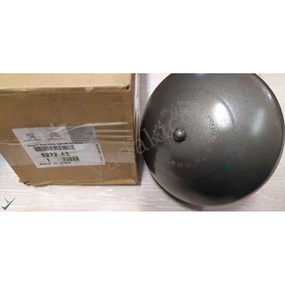 گوی جلو وسط زانتیا اصلی