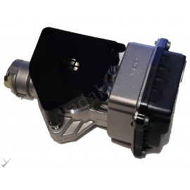 دریچه گاز پژو 407 اصلی