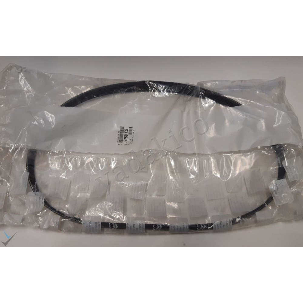 تسمه تایم پژو 407